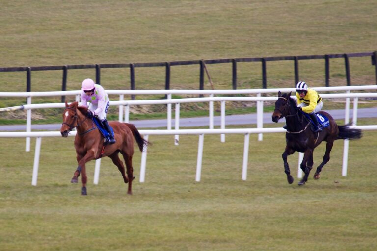 The Progressive Profile: Where Love Lives Targets the Fairyhouse Blenheim Stakes Preview