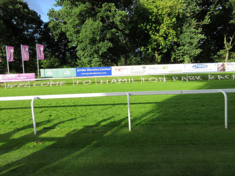 The Soft Ground Sprint: Can Stormy Impact Overcome Form To Claim The Hamilton Sprint Handicap?