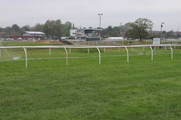The Fitness Question: Can Yellow Card Justify His Claims in the Worcester Hurdle Final Preview?