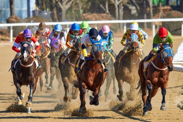 Horses and Storylines to Follow Ahead of the 2026 Breeders’ Cup